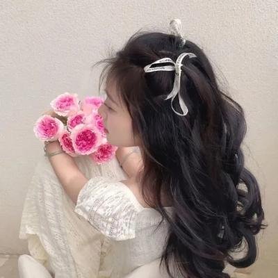巨幅宝丽莱大师